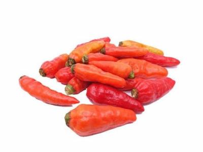 Cabe Merah