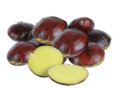 Jengkol