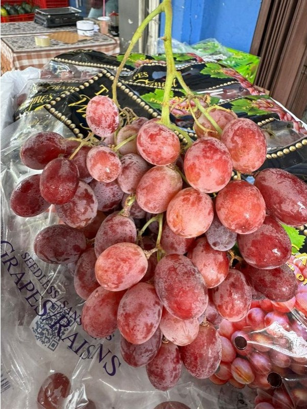 Anggur Merah Alison