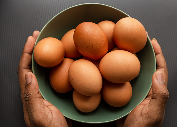 Telur