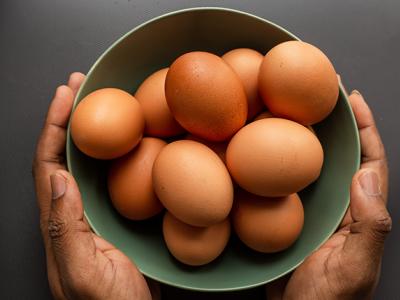 Telur