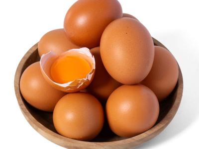 Telur omega