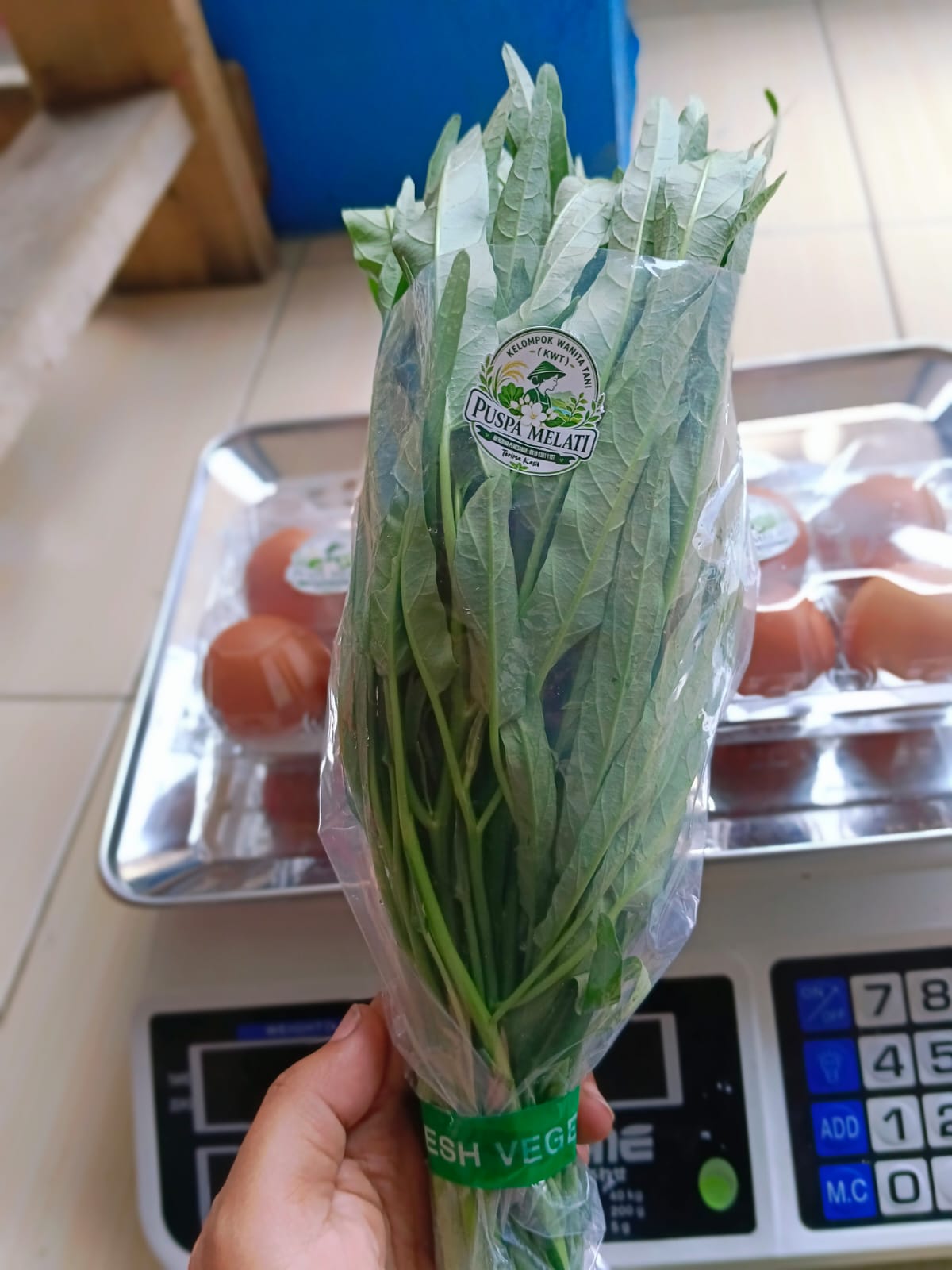 kangkung