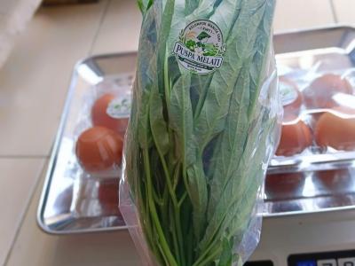 kangkung