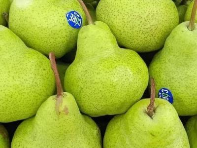 Pear Pakham