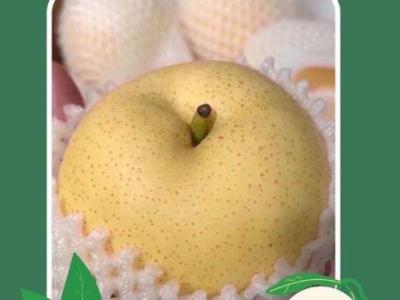 Pear Century