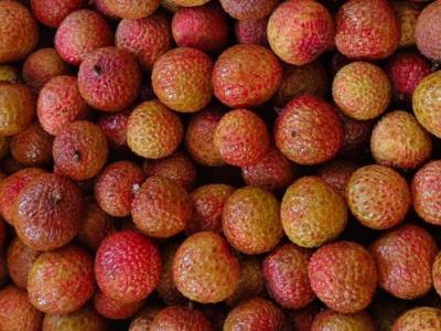 Leci Merah