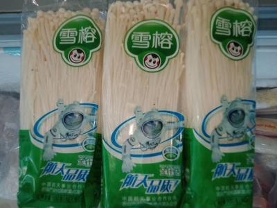 Jamur Enoki