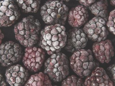 Blackberry Lokal Frozen