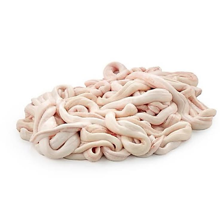 Usus Ayam