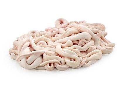 Usus Ayam
