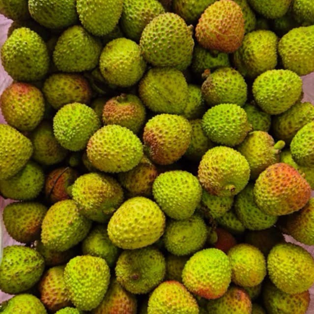 Leci Hijau